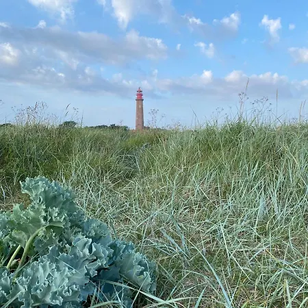 Haus Mit Meerblick & Garten Fehmarn