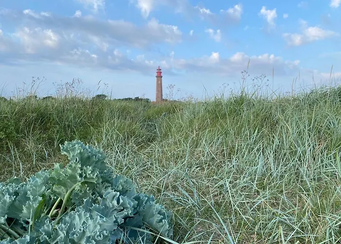 Haus Mit Meerblick & Garten Fehmarn