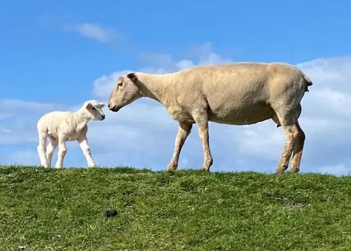Haus Mit Meerblick & Garten * Fehmarn